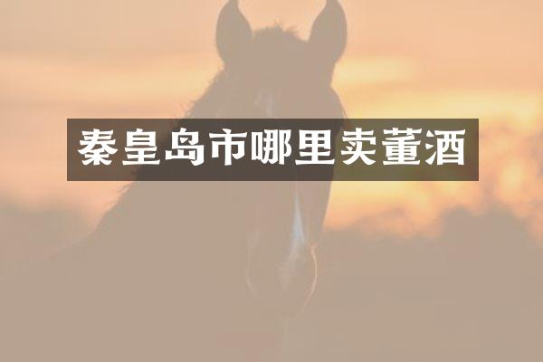 秦皇岛市哪里卖董酒
