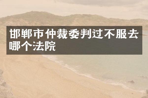 邯郸市仲裁委判过不服去哪个法院