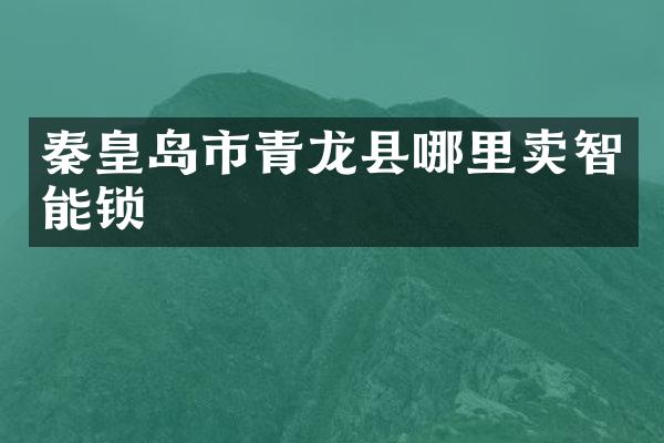 秦皇岛市青龙县哪里卖智能锁