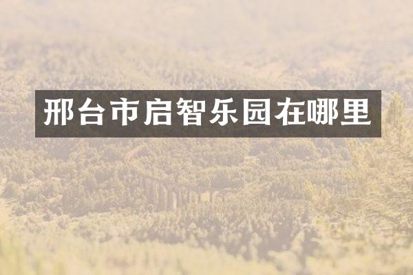 邢台市启智乐园在哪里