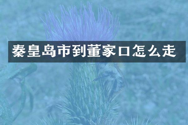 秦皇岛市到董家口怎么走