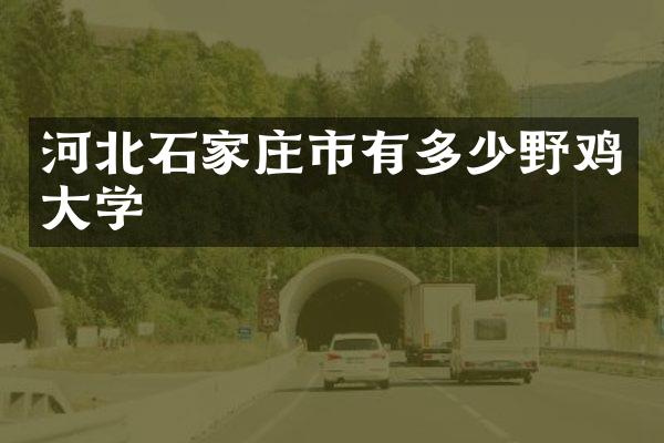 河北石家庄市有多少野鸡大学