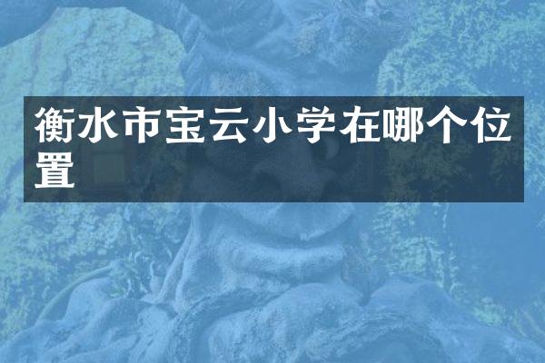 衡水市宝云小学在哪个位置
