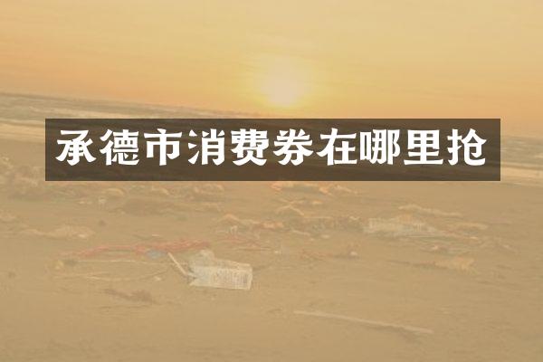承德市消费券在哪里抢