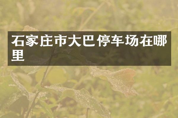 石家庄市大巴停车场在哪里