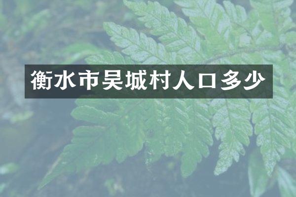 衡水市吴城村人口多少