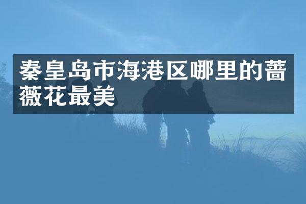 秦皇岛市海港区哪里的蔷薇花最美