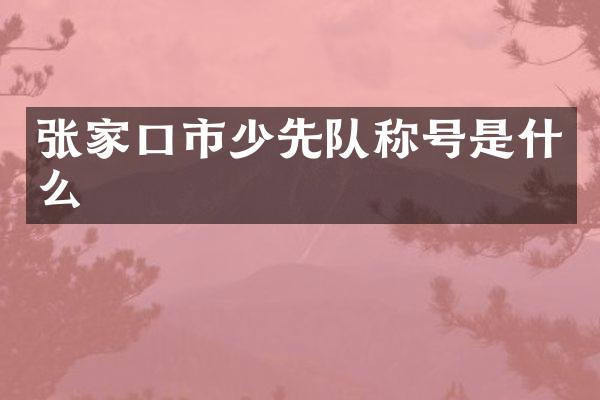张家口市少先队称号是什么