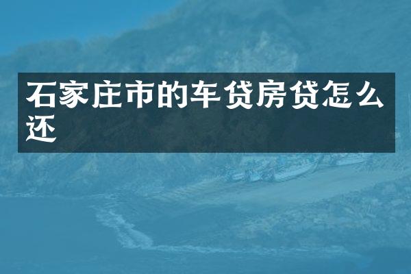 石家庄市的车贷房贷怎么还