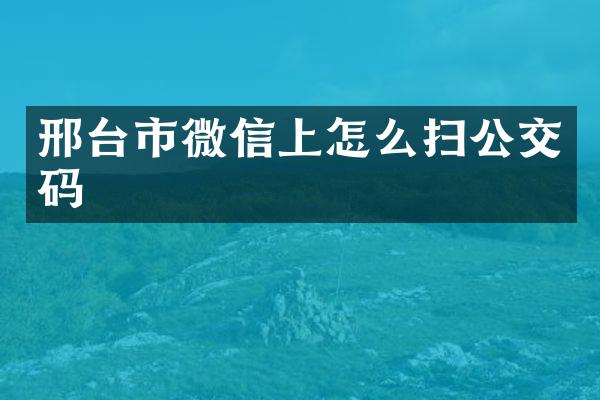 邢台市微信上怎么扫公交码