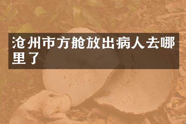 沧州市方舱放出病人去哪里了