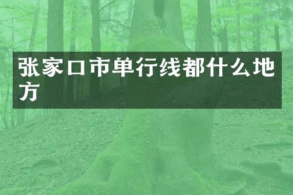 张家口市单行线都什么地方