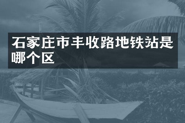 石家庄市丰收路地铁站是哪个区
