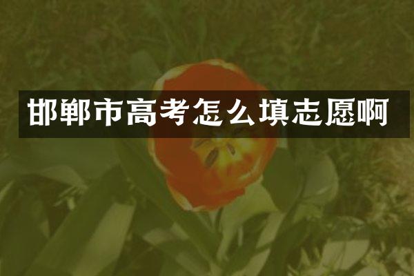邯郸市高考怎么填志愿啊