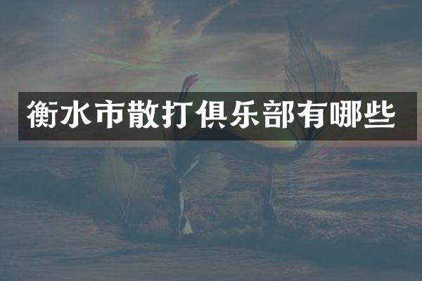 衡水市散打俱乐部有哪些