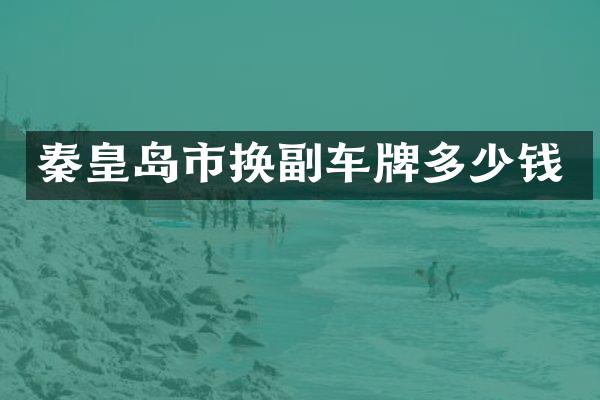 秦皇岛市换副车牌多少钱