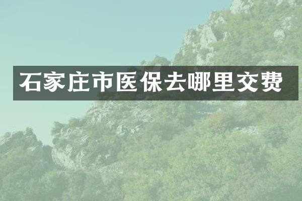 石家庄市医保去哪里交费