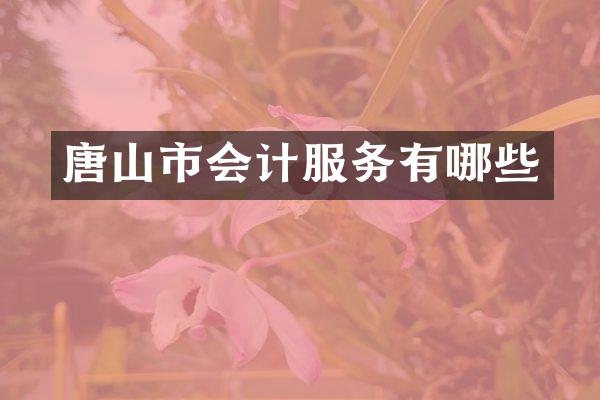唐山市会计服务有哪些