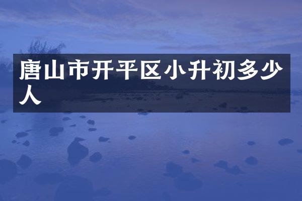 唐山市开平区小升初多少人