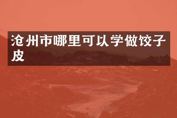沧州市哪里可以学做饺子皮