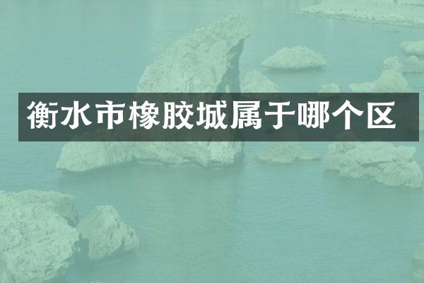 衡水市橡胶城属于哪个区
