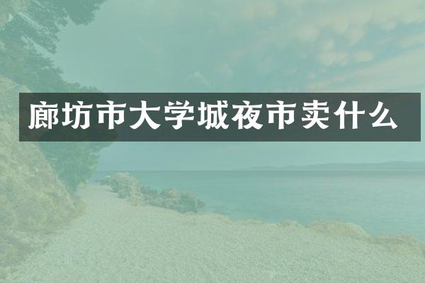 廊坊市大学城夜市卖什么