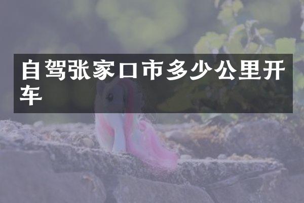 自驾张家口市多少公里开车
