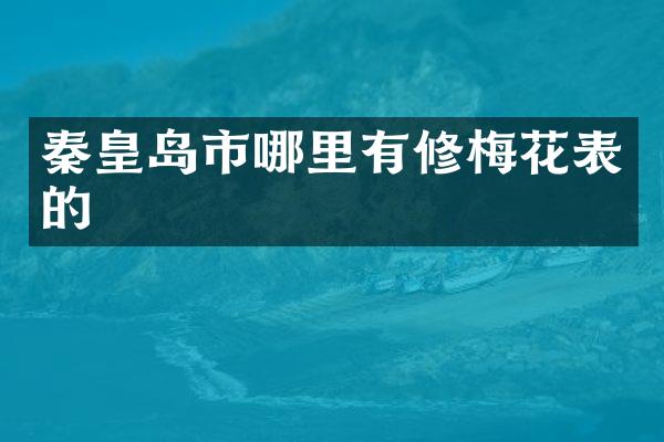 秦皇岛市哪里有修梅花表的