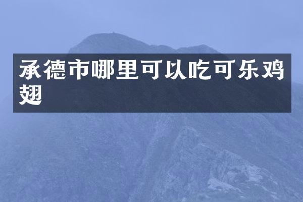 承德市哪里可以吃可乐鸡翅