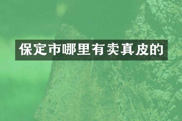 保定市哪里有卖真皮的