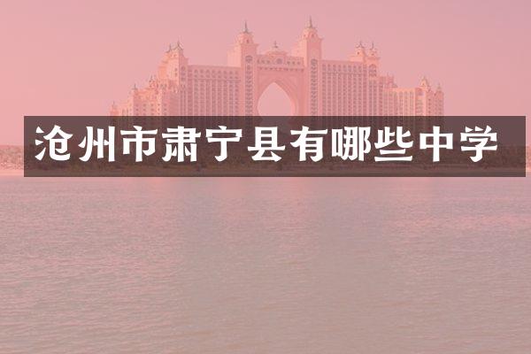 沧州市肃宁县有哪些中学