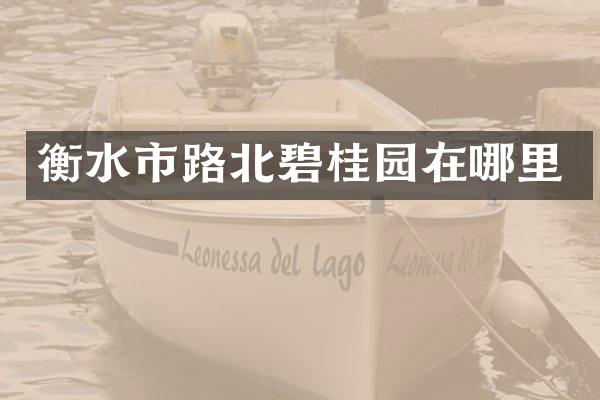 衡水市路北碧桂园在哪里