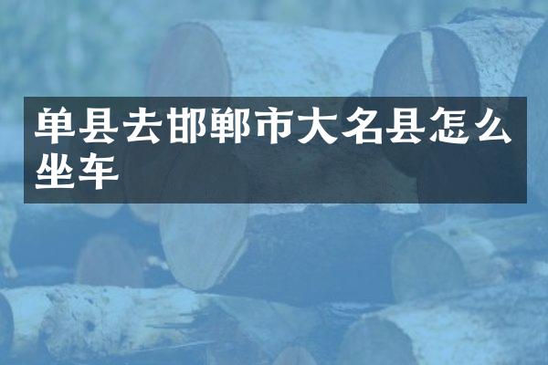 单县去邯郸市大名县怎么坐车