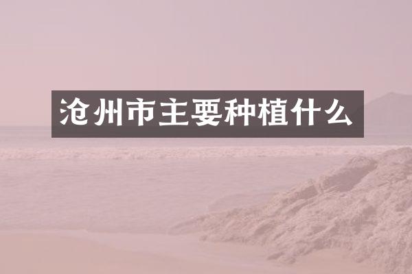 沧州市主要种植什么