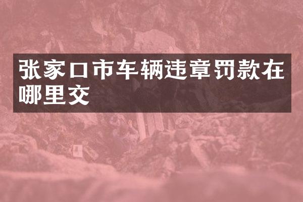 张家口市车辆违章罚款在哪里交
