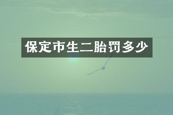 保定市生二胎罚多少