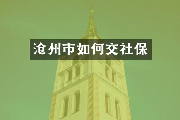 沧州市如何交社保