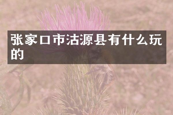 张家口市沽源县有什么玩的