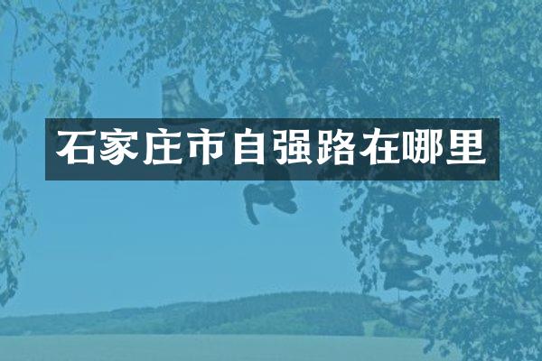 石家庄市自强路在哪里