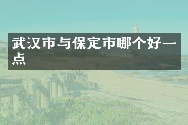 武汉市与保定市哪个好一点
