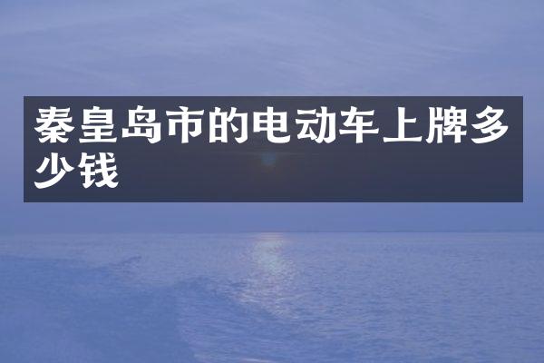 秦皇岛市的电动车上牌多少钱