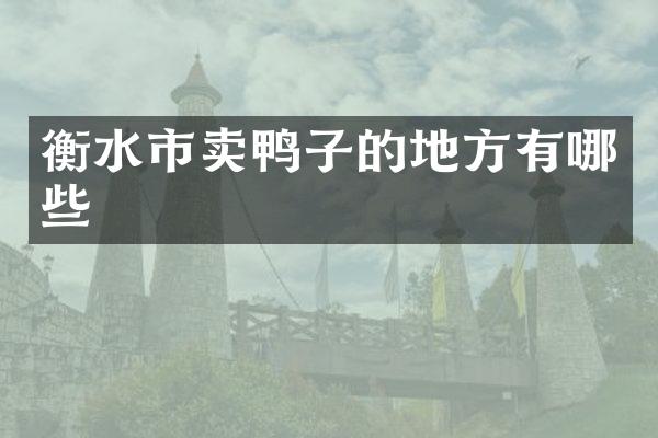 衡水市卖鸭子的地方有哪些