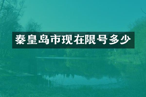 秦皇岛市现在限号多少