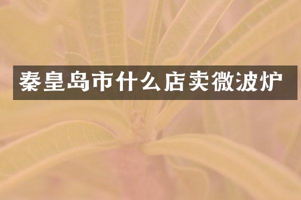 秦皇岛市什么店卖微波炉