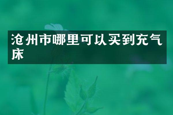 沧州市哪里可以买到充气床