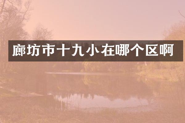 廊坊市十九小在哪个区啊