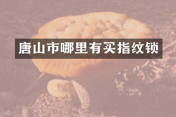 唐山市哪里有买指纹锁