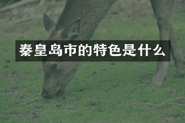 秦皇岛市的特色是什么