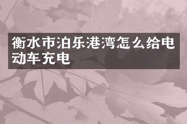 衡水市泊乐港湾怎么给电动车充电