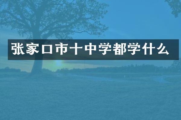 张家口市十中学都学什么